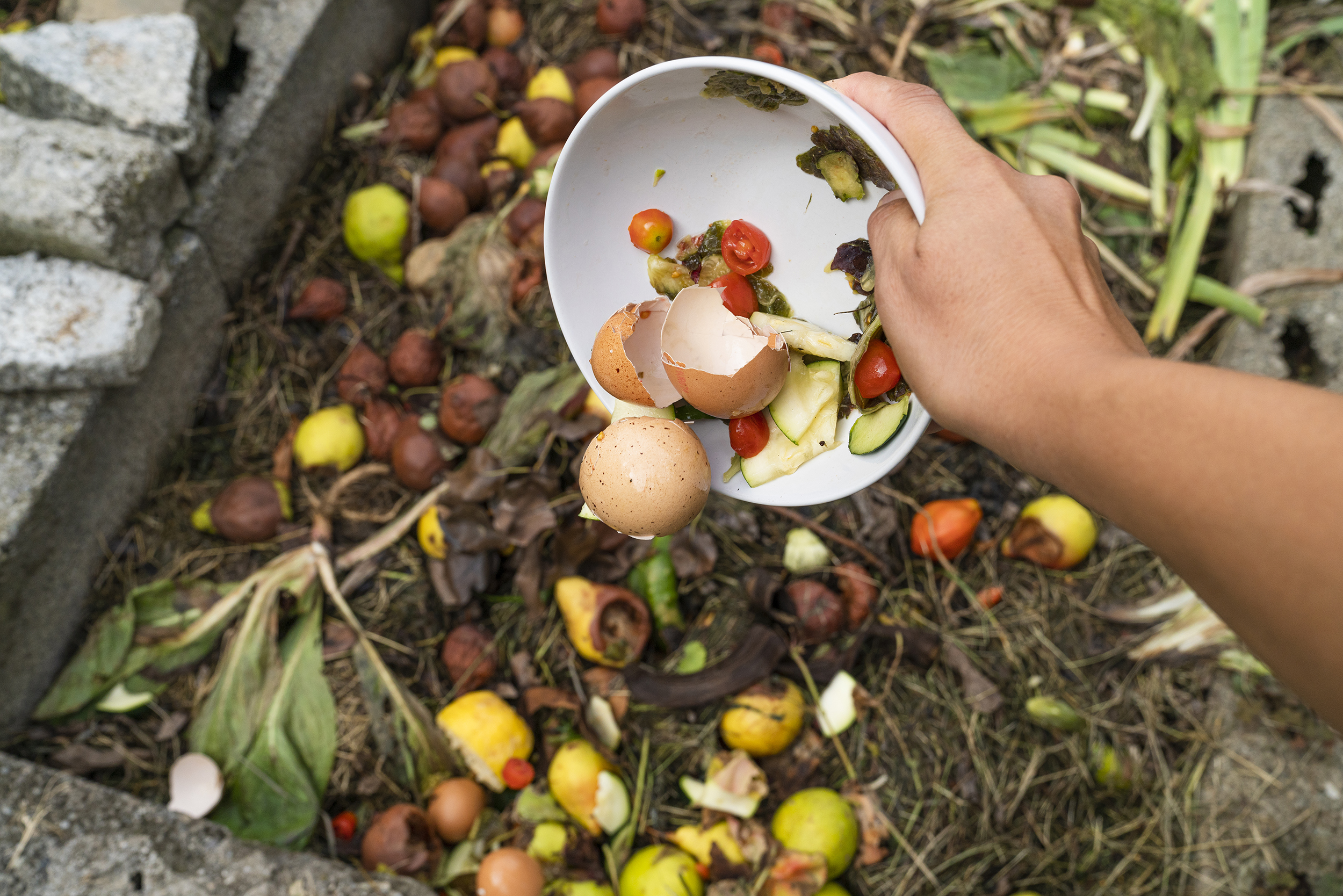  A woman's hand throwing food scraps into a compost heap